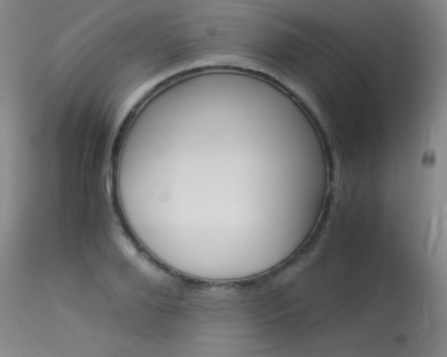 X0000114010888200910020950