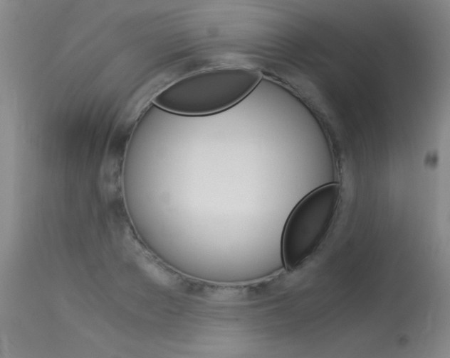 X0000114010889200910020950