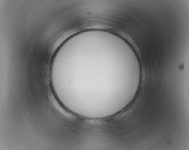 X0000114010890200910020950