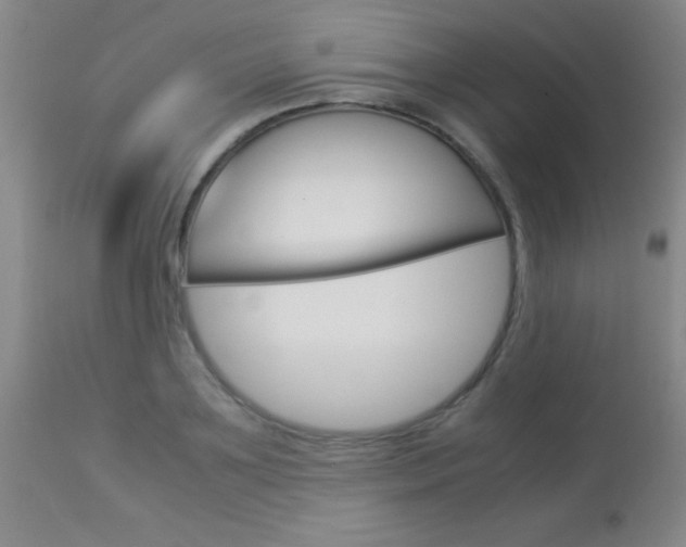 X0000114010891200910020950