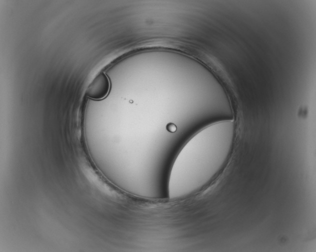 X0000114010892200910020950