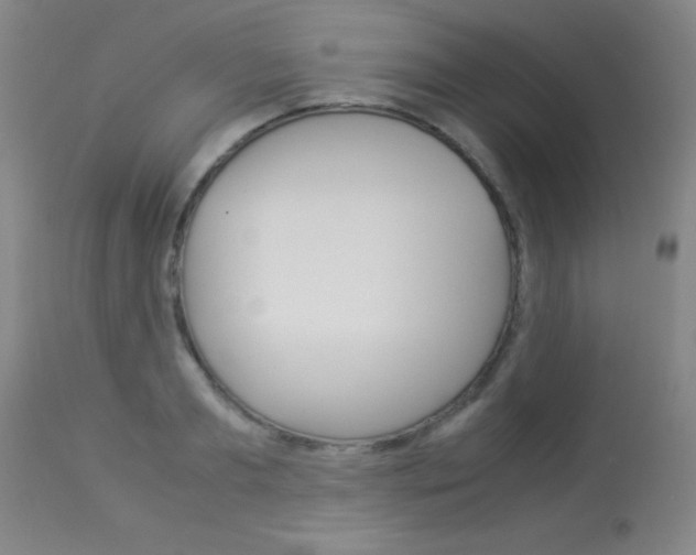 X0000114010893200910020950