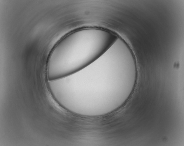 X0000114010895200910020949