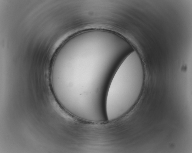 X0000114010896200910020949