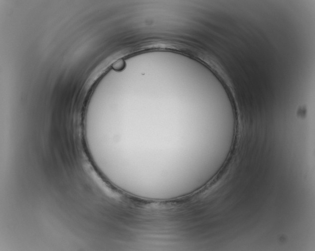 X0000114010898200910020949