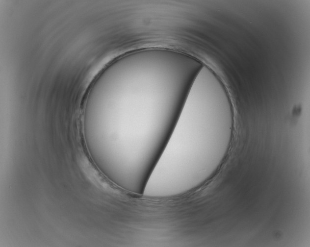 X0000114010899200910020949