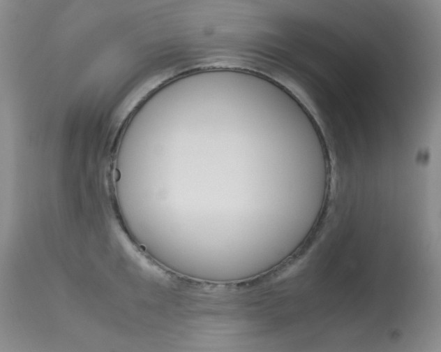 X0000114010901200910020949