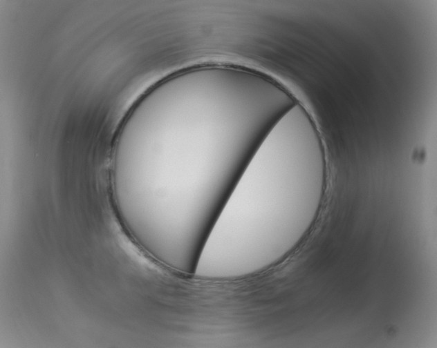 X0000114010903200910020949