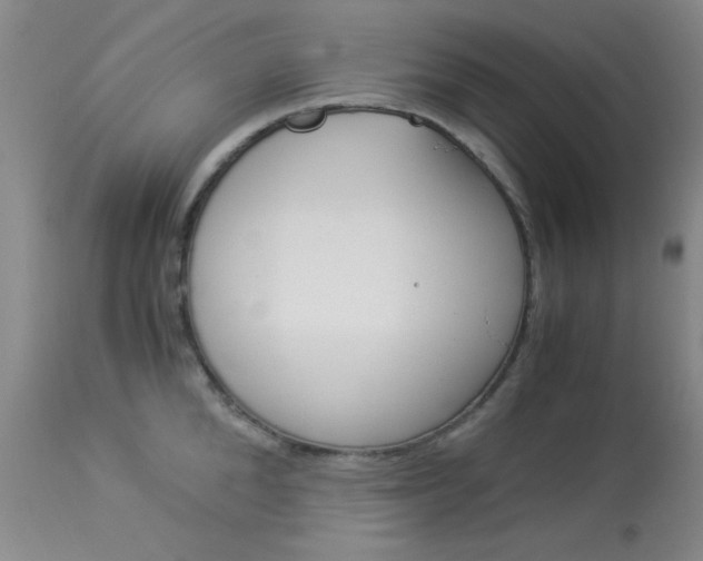 X0000114010904200910020949