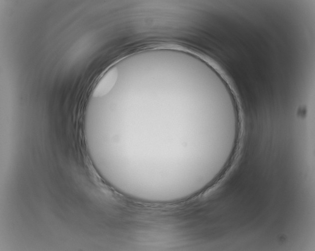 X0000114010905200910020949