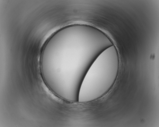 X0000114010910200910020949