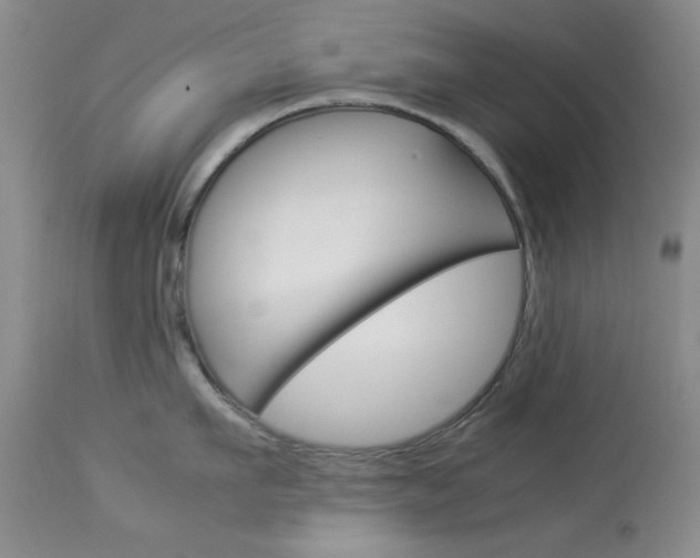 X0000114010911200910020949