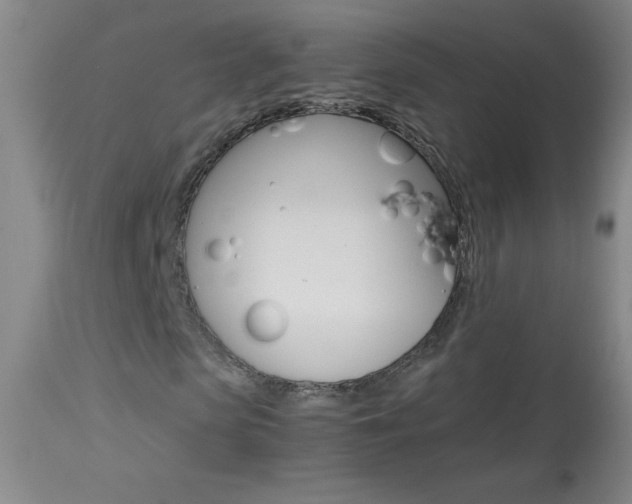 X0000114010913200910020949