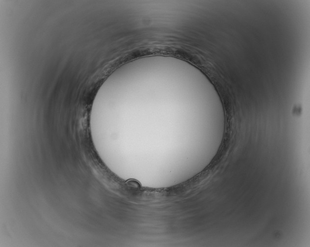 X0000114010914200910020949