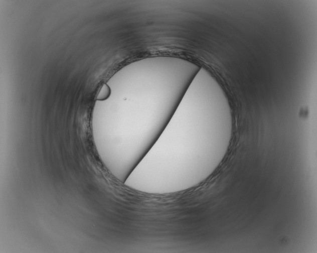 X0000114010915200910020949