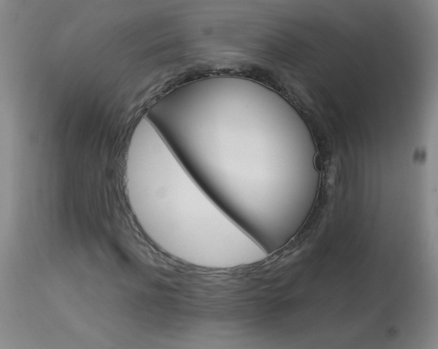 X0000114010916200910020949