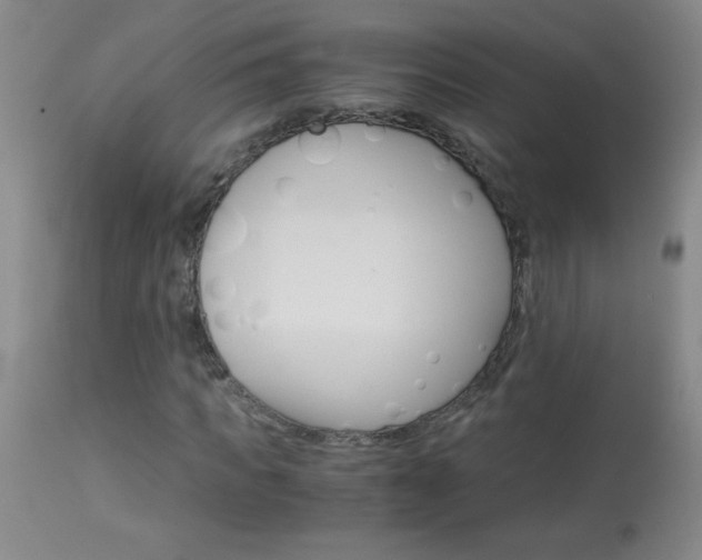 X0000114010917200910020949