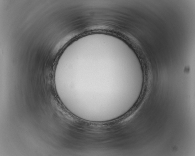 X0000114010921200910020949