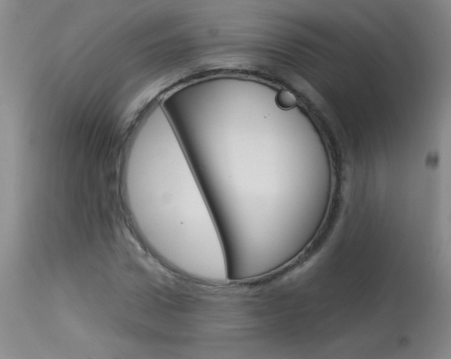 X0000114010922200910020949