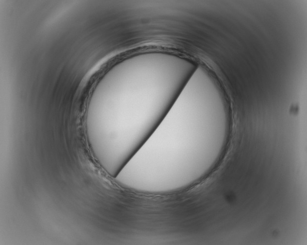 X0000114010923200910020949