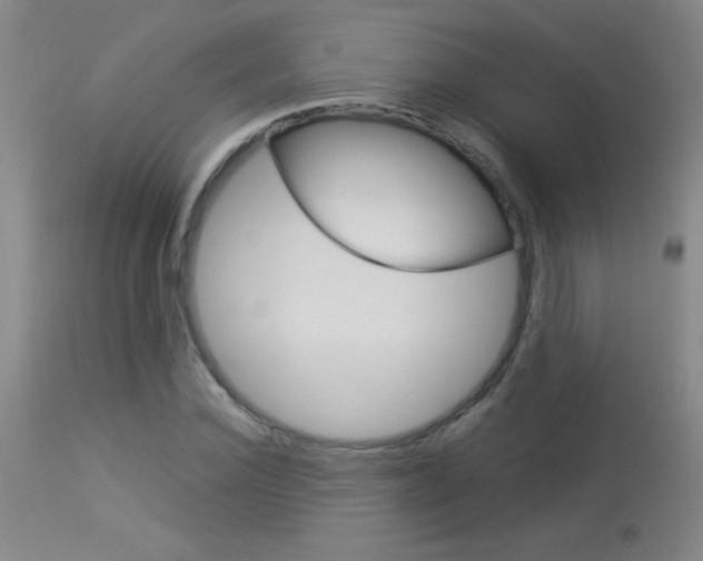 X0000114010924200910020949