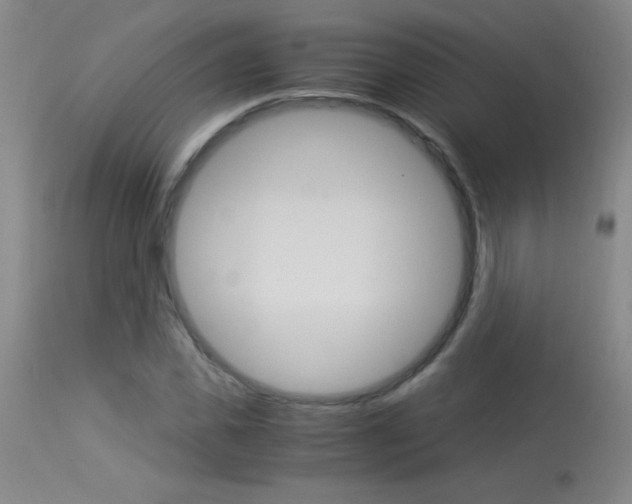 X0000114010925200910020949