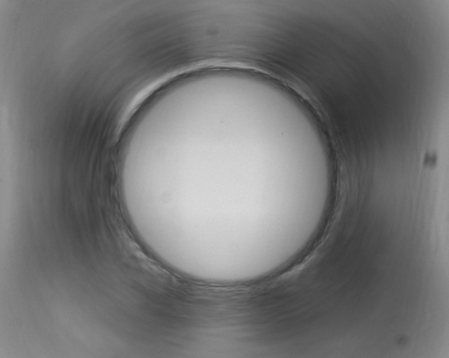 X0000114010926200910020949