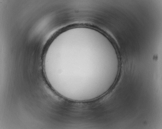 X0000114010927200910020949