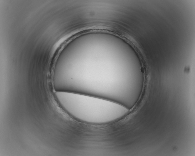 X0000114010928200910020949