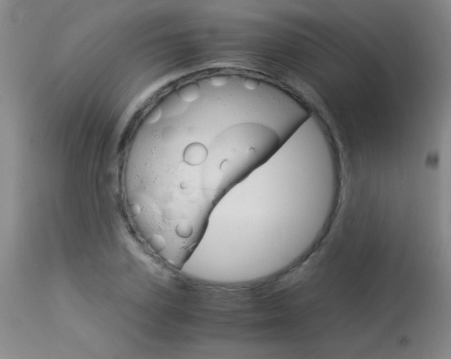 X0000114010931200910020949