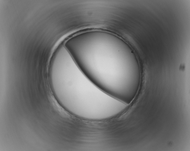 X0000114010932200910020949
