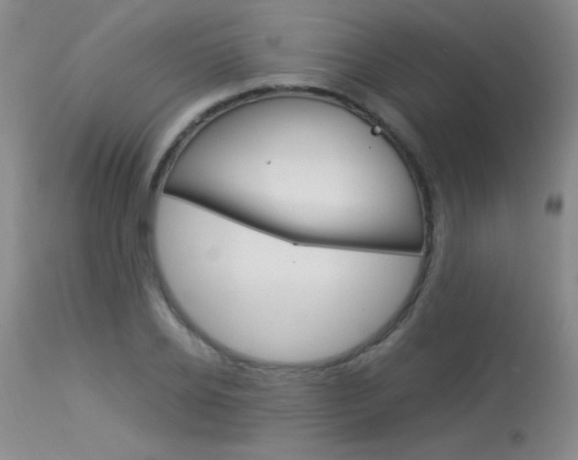 X0000114010934200910020949