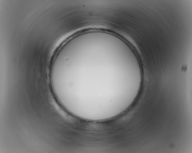 X0000114010935200910020949