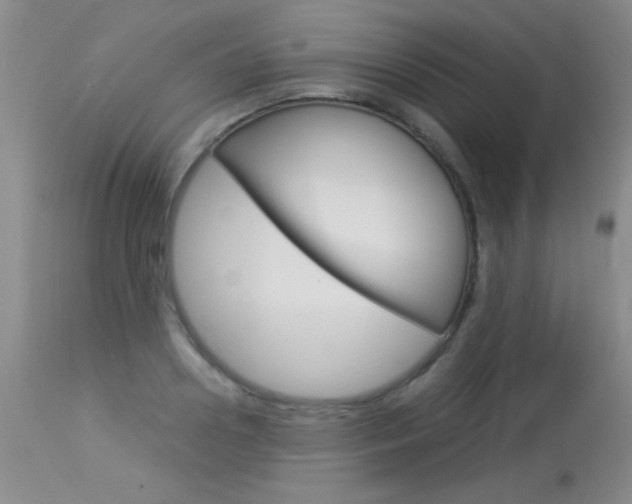 X0000114010938200910020949