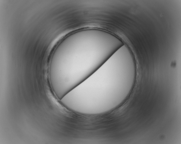 X0000114010939200910020949