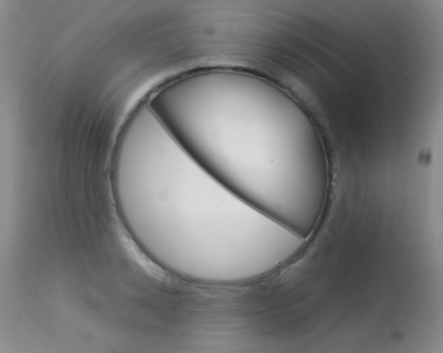 X0000114010942200910020949