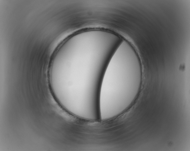 X0000114010943200910020949