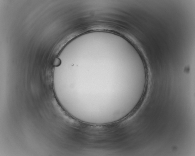 X0000114010945200910020949
