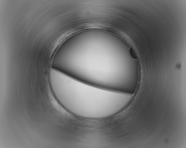 X0000114010946200910020949