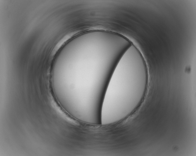 X0000114010949200910020949