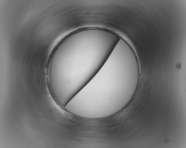 X0000114010951200910020949