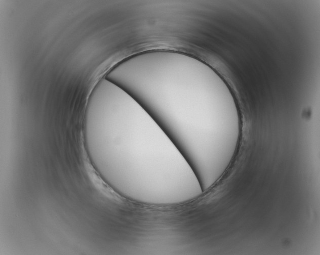 X0000114010954200910020949