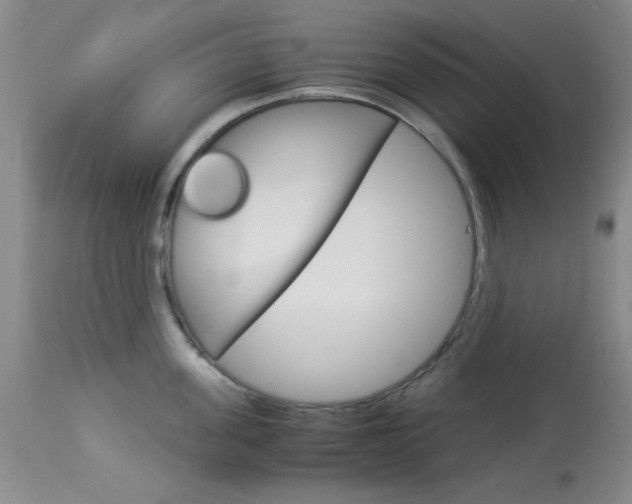 X0000114010955200910020949