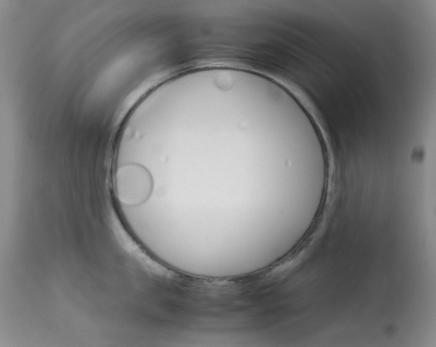 X0000114010957200910020949