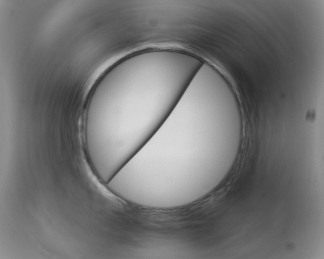 X0000114010959200910020949