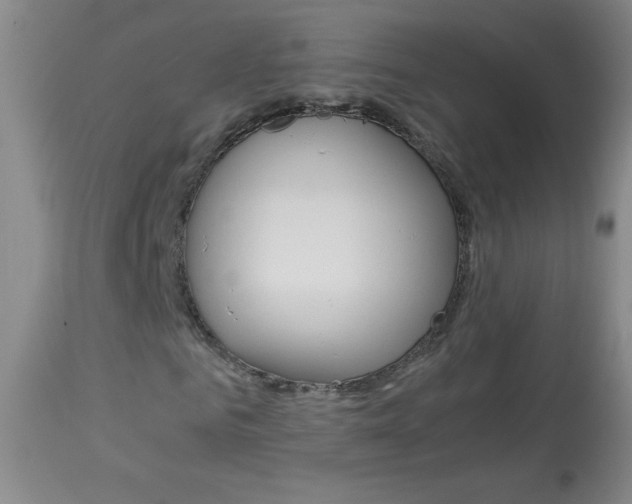 X0000114010961200910020949