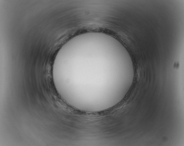 X0000114010964200910020949