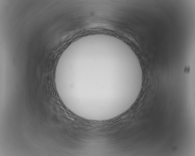 X0000114010965200910020949