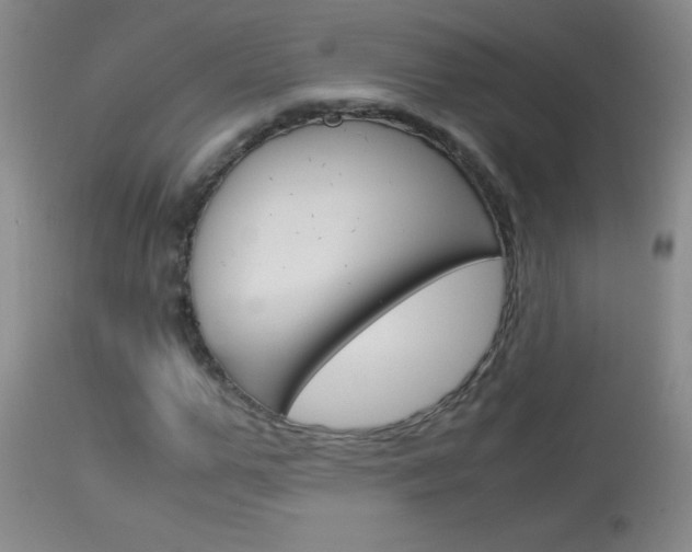 X0000114010967200910020948