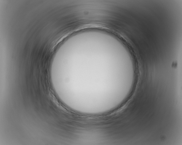 X0000114010969200910020948